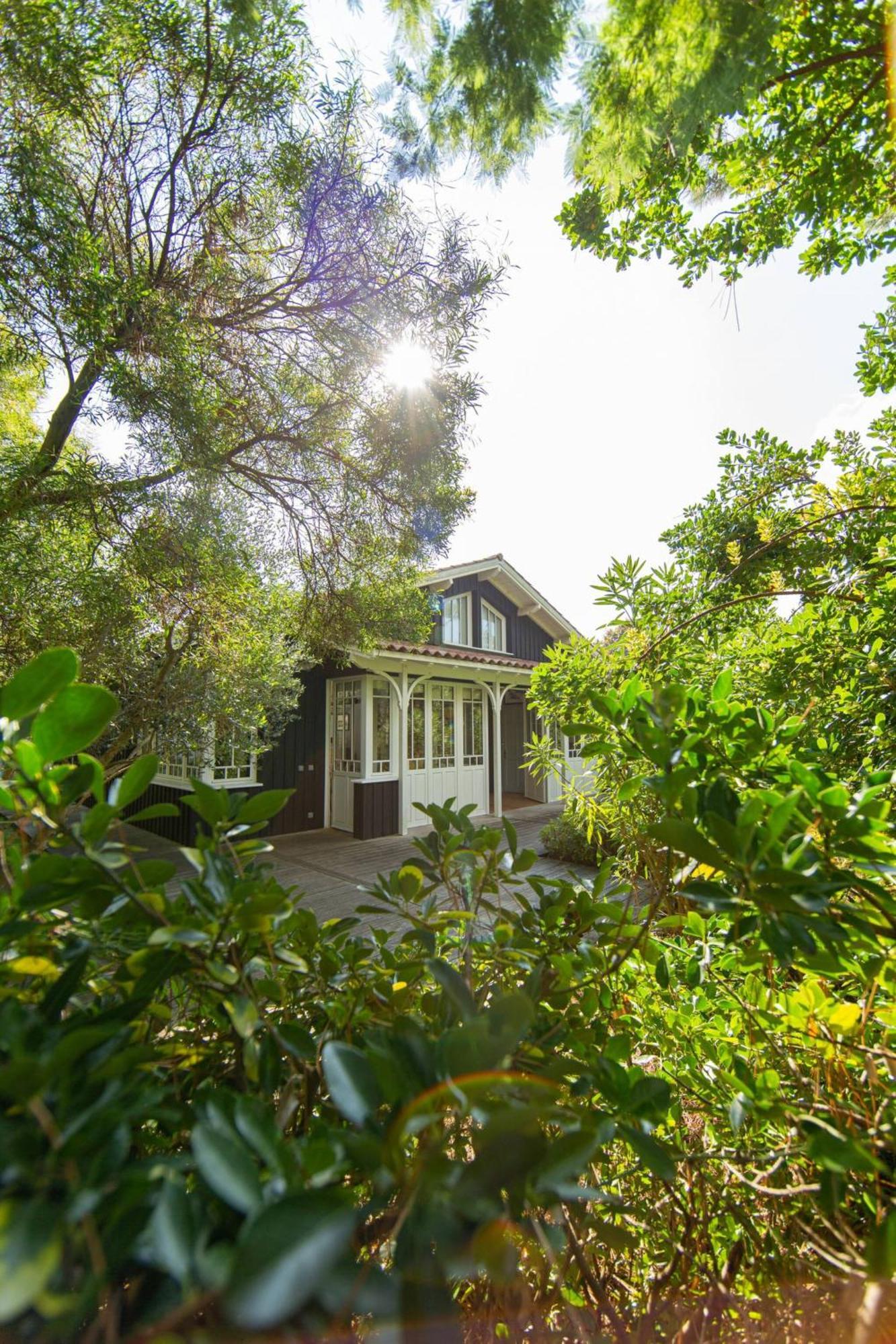 Villa Lolita Pour 6 Pers Au Cap Ferret Lège-Cap-Ferret 外观 照片